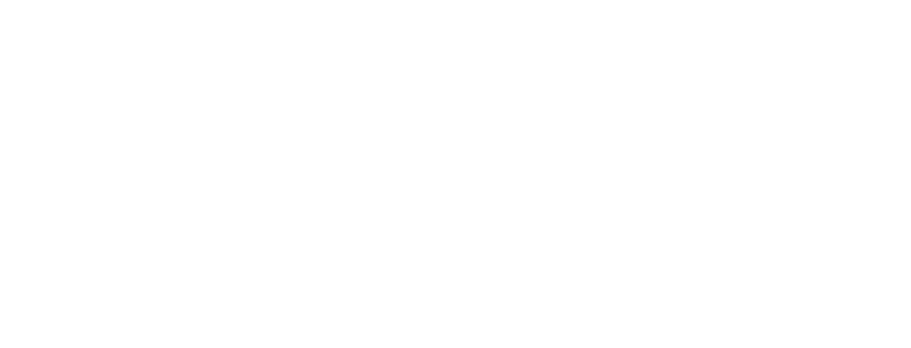 logo light